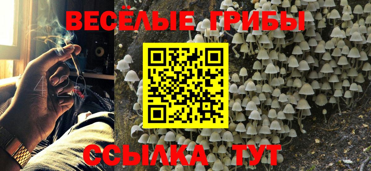 Ярославль  Галлюциногенные грибы Magic Shrooms  Вход с VPN  Галлюциногенные грибы ЛСД 